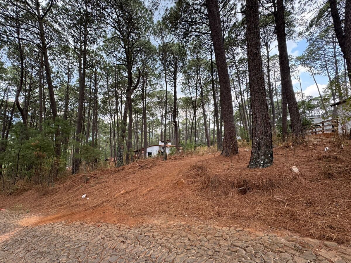 5 de 5