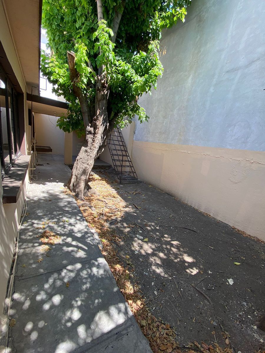 33 de 36: patio externo