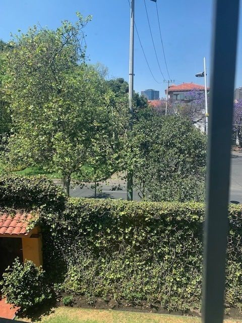 House in Lomas de Chapultepec I Sección, Miguel Hidalgo, photo 14 of 24
