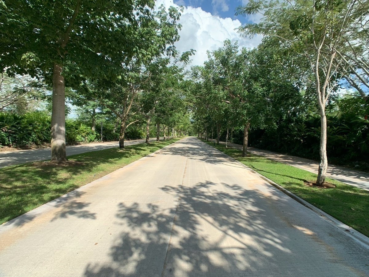 7 de 43: Vialidad Principal Cabo Norte