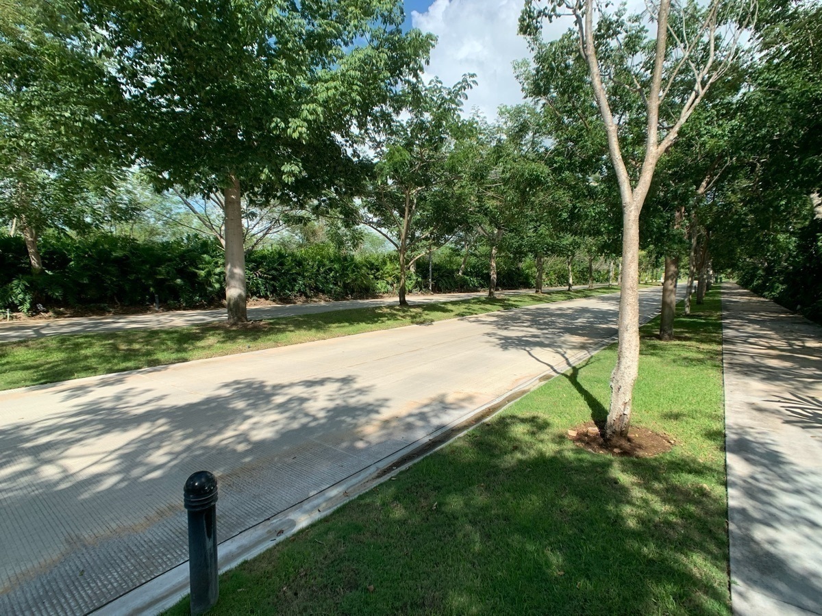 8 de 43: Vialidad Principal Cabo Norte