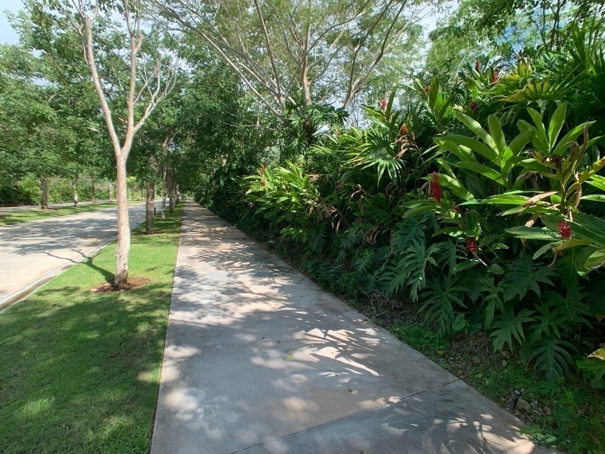 9 de 43: Andadores y Vegetación 