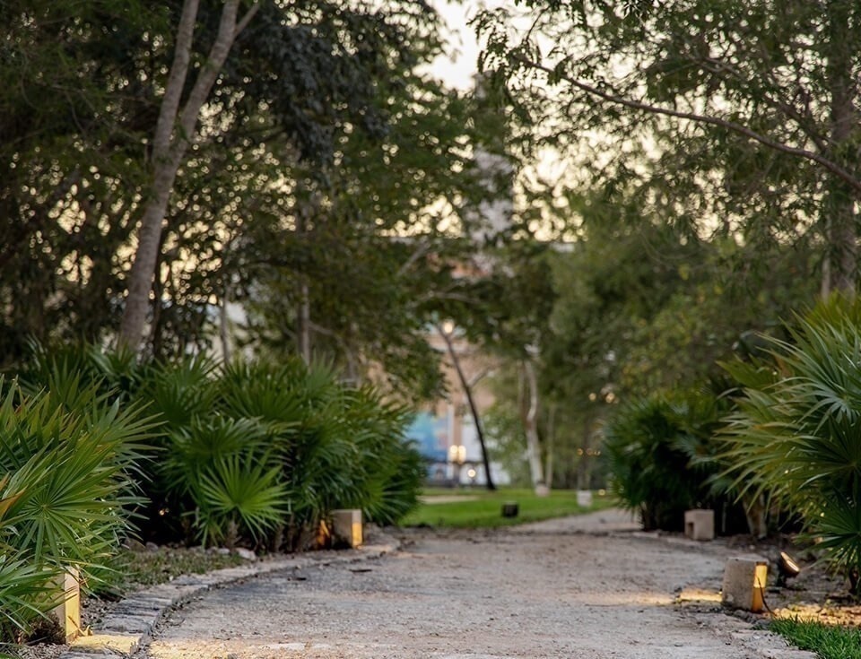 36 de 43: Espina Verde