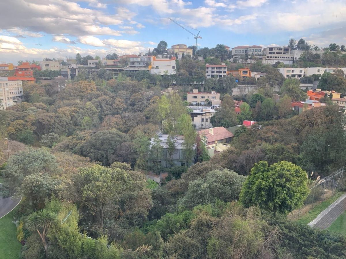 Apartment in Bosques de las Lomas, Cuajimalpa de Morelos, photo 21 of 38