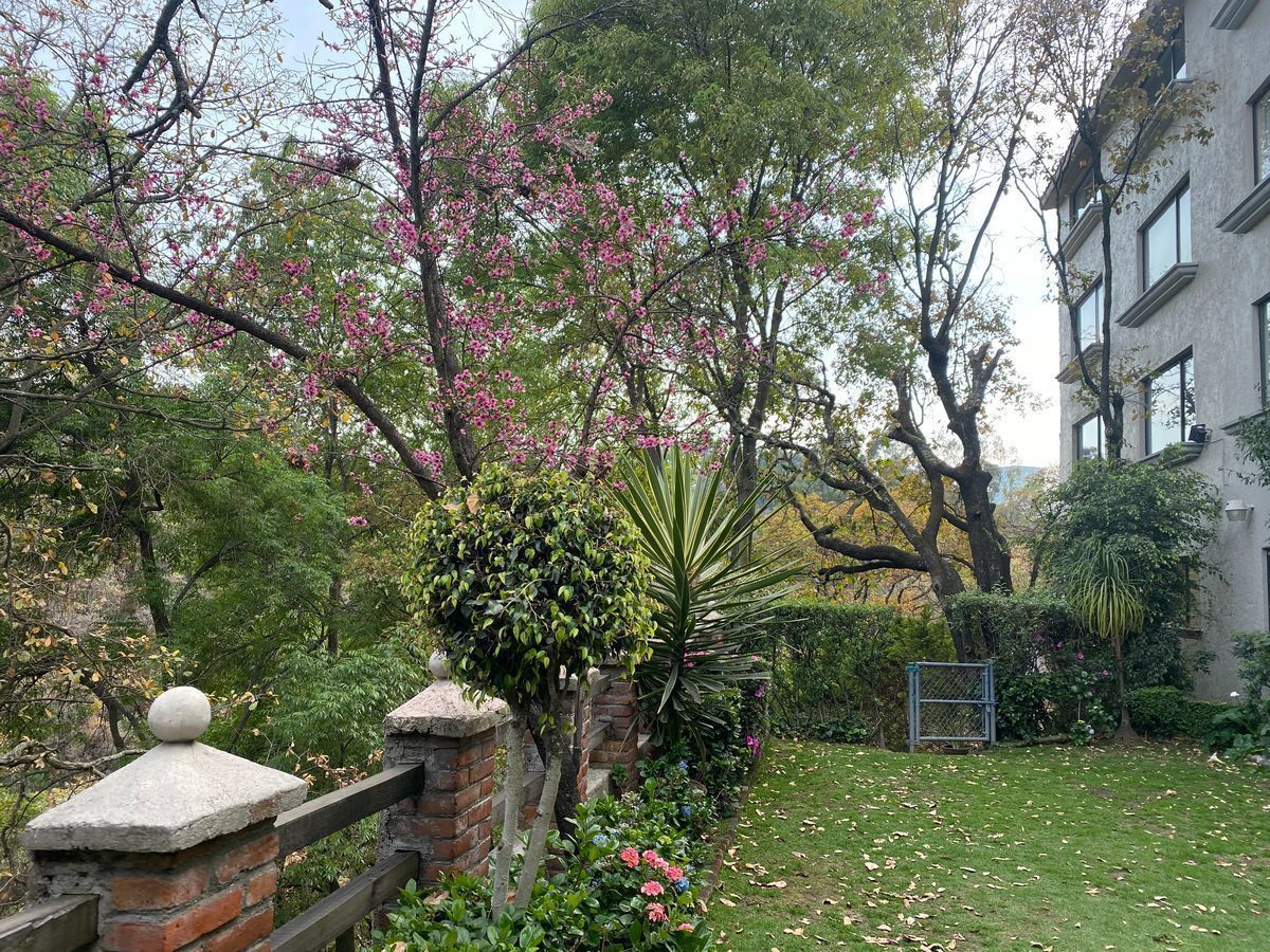 27 de 29