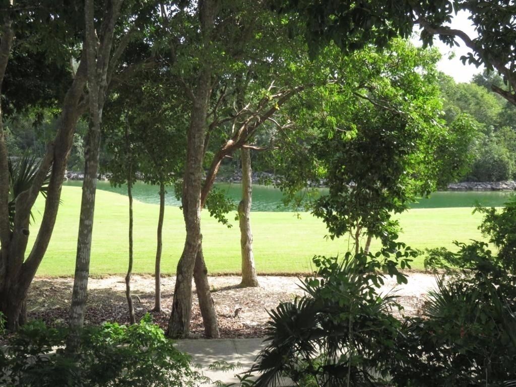 45 de 47