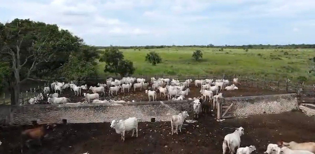 Rancho en Tizimin Centro, Tizimín, foto 17 de 22
