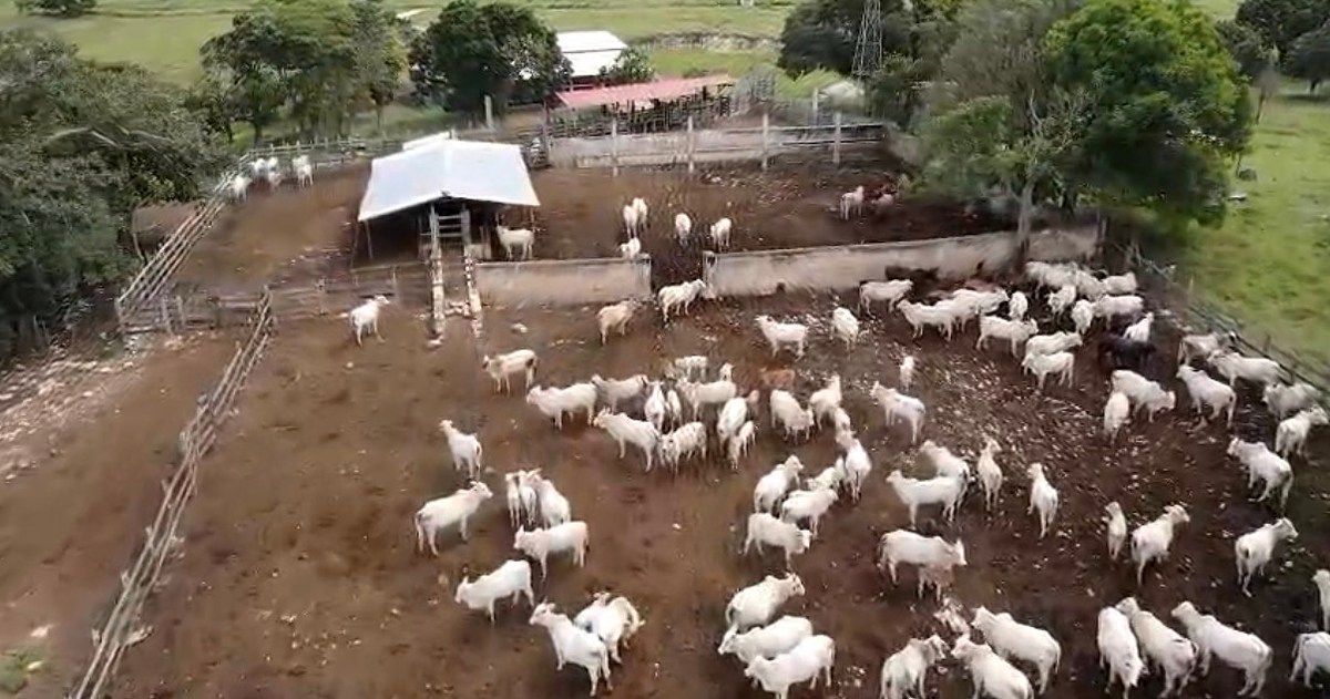 Rancho en Tizimin Centro, Tizimín, foto 22 de 22