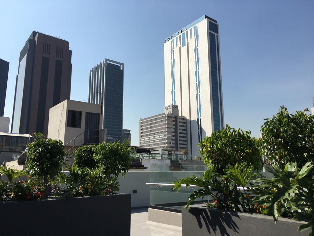 11 de 20: Roof garden compartido