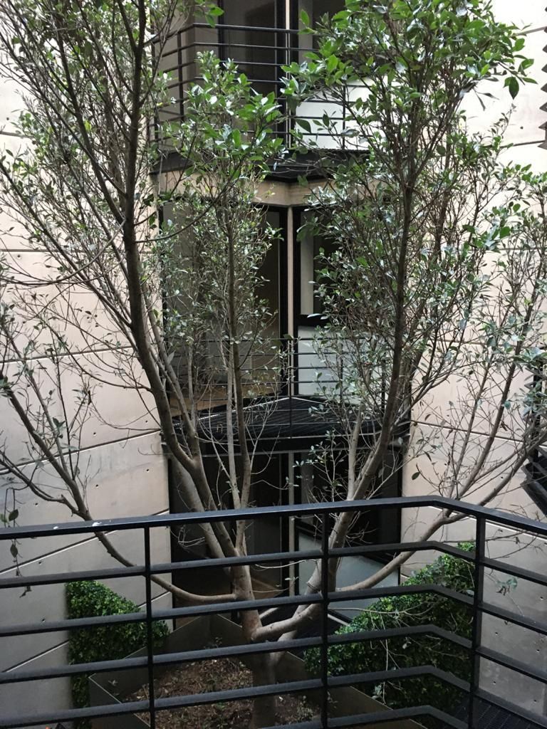 3 of 36: Vista desde el balcón