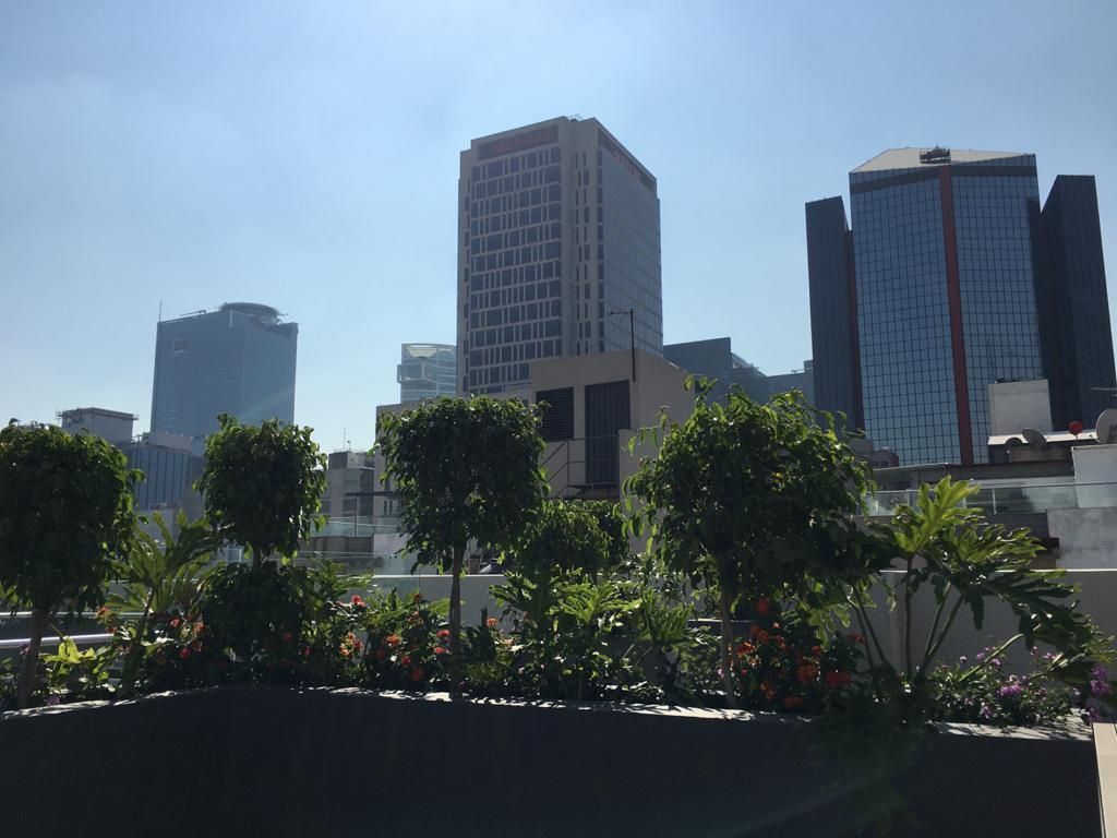 25 of 36: Vista desde el Roof Garden del edificio