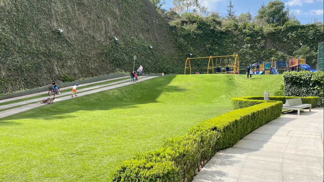 17 de 40: áreas verdes