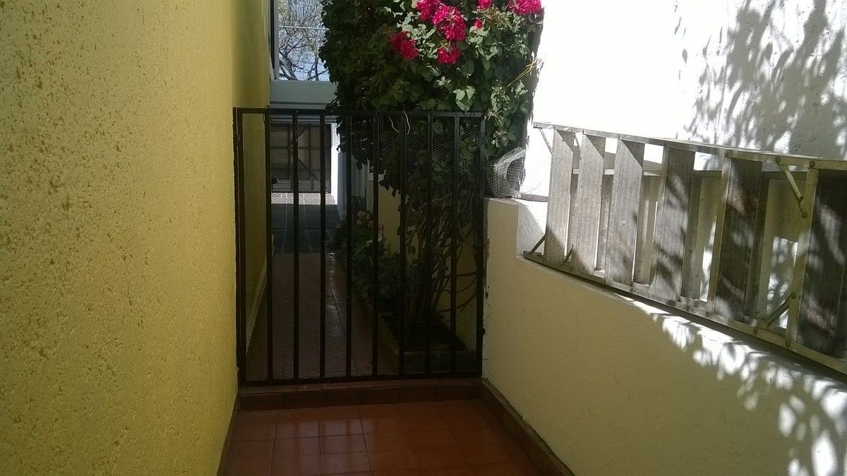 6 de 29