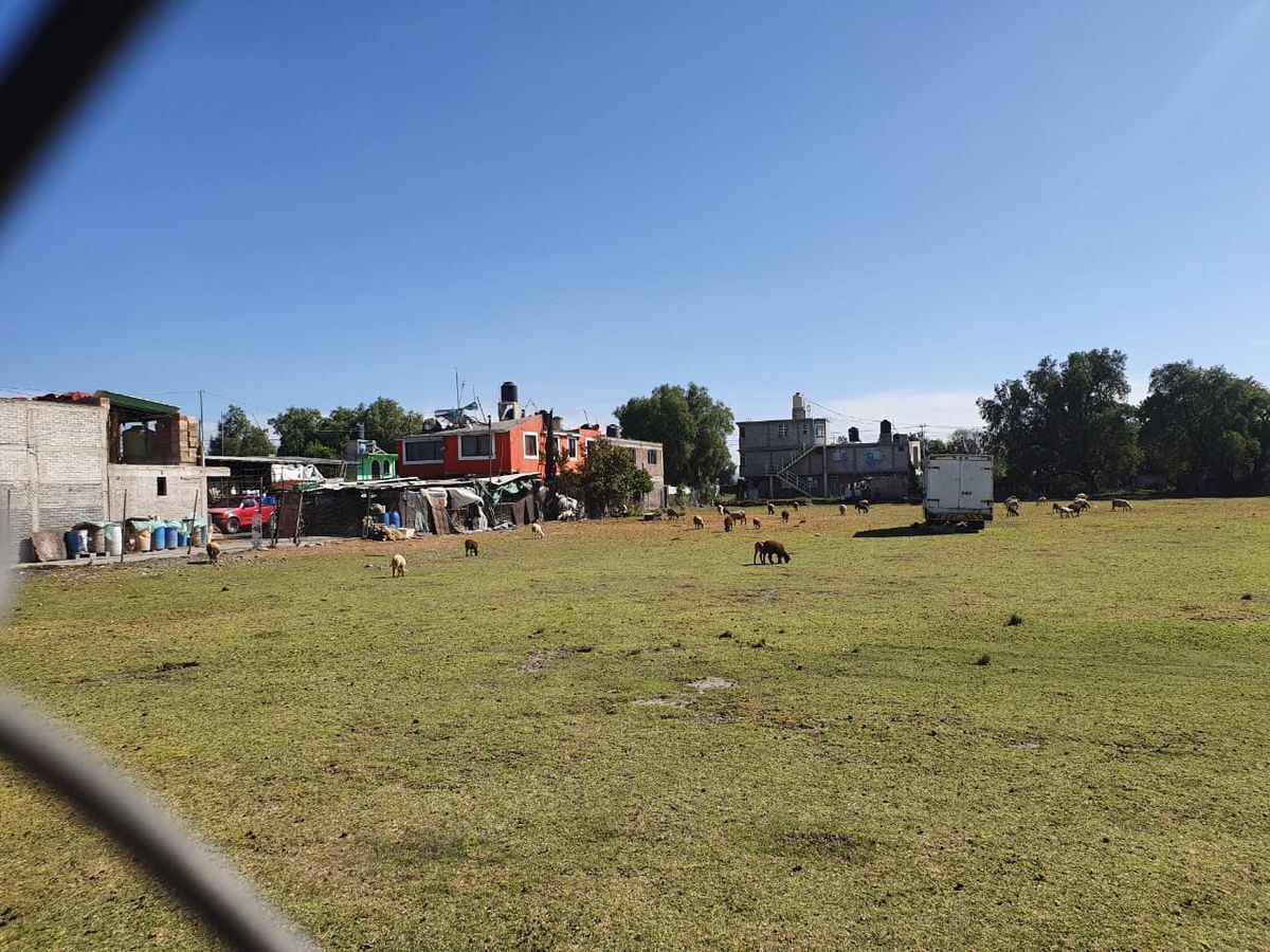 9 de 15