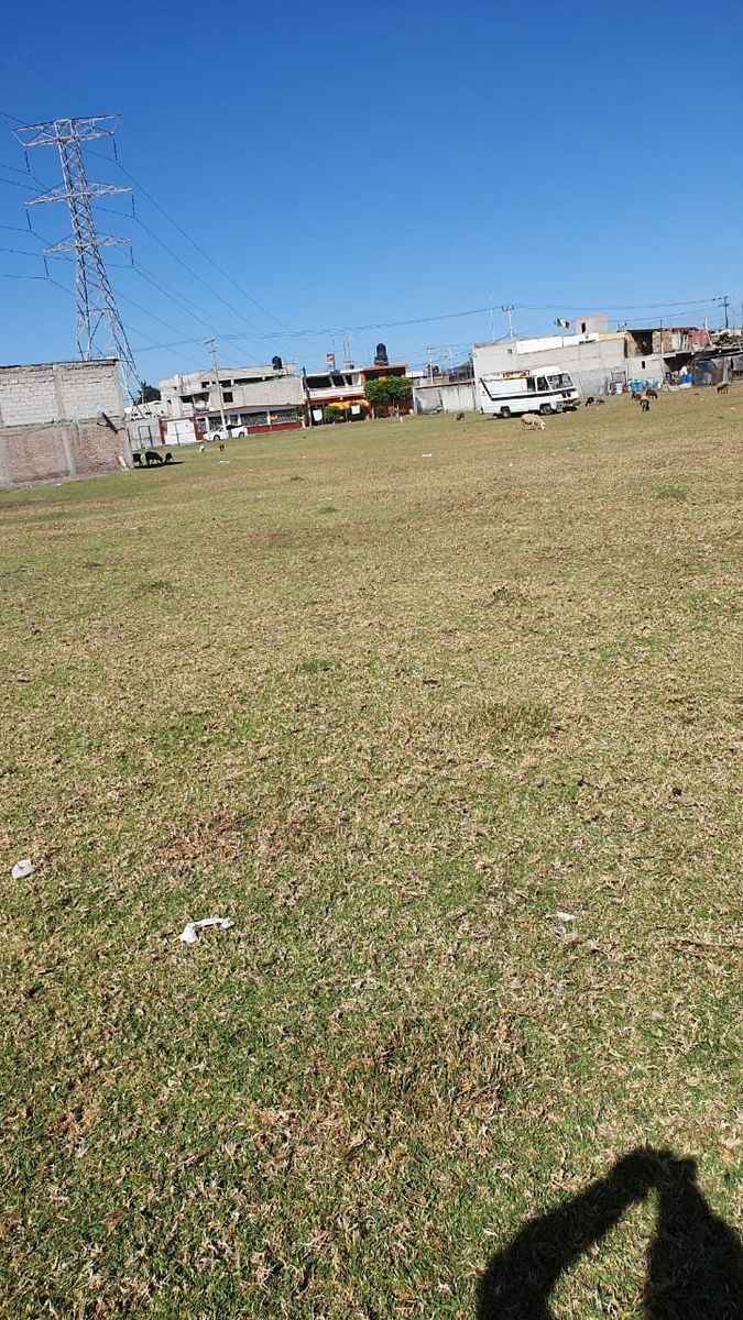 10 de 15