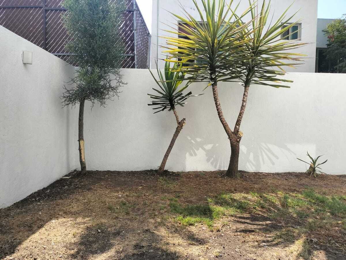 6 de 25