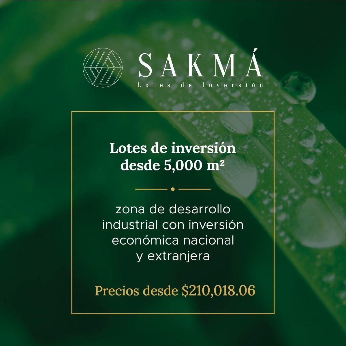 Terrenos de Inversión "SAKMA" en Hunucmá Yucatán en Venta, foto 1 de 4