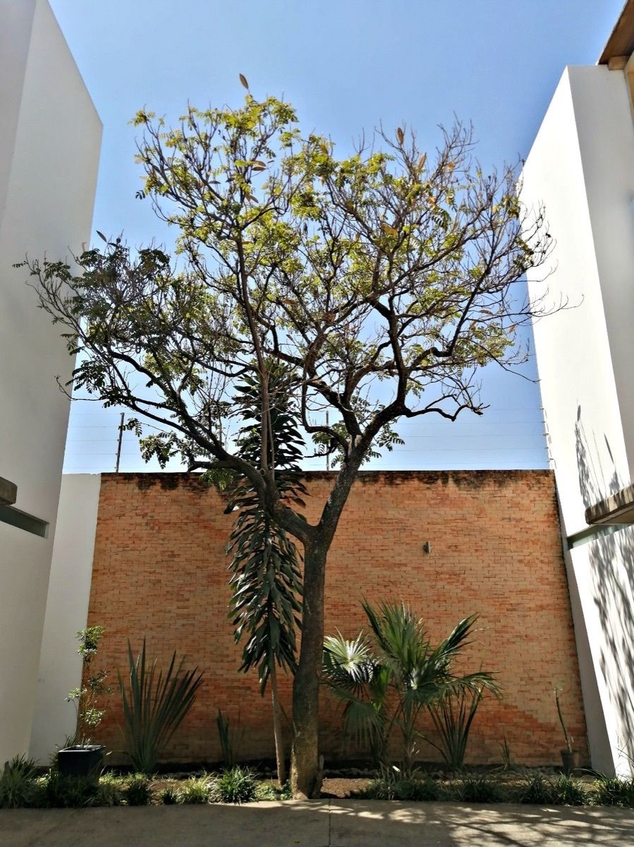 4 de 32