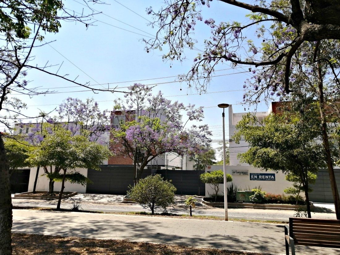 2 de 32