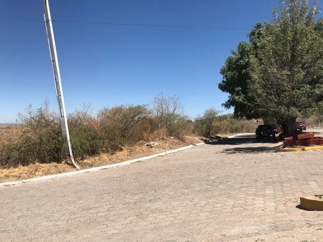 3 de 6
