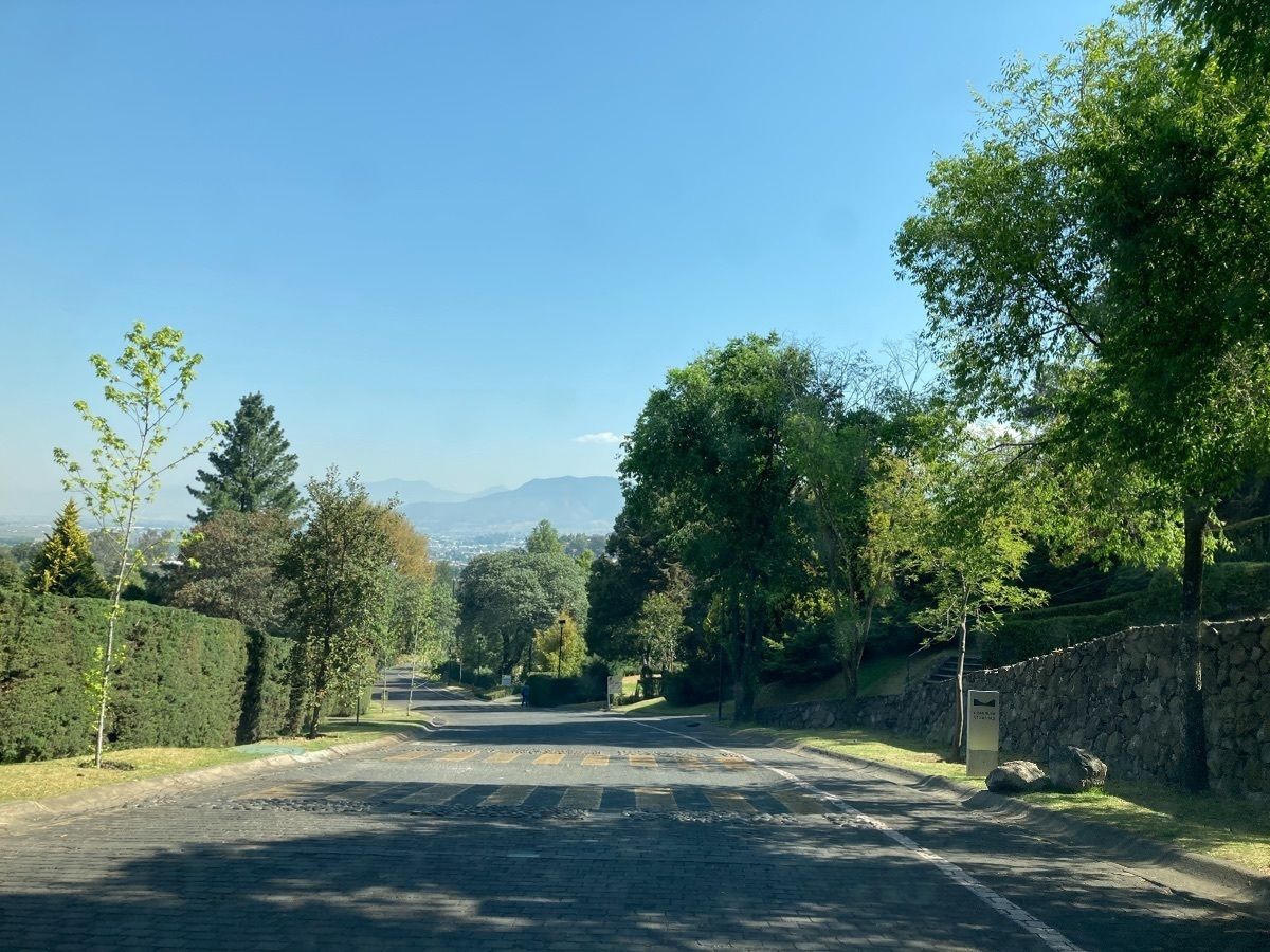 3 de 12: Calle