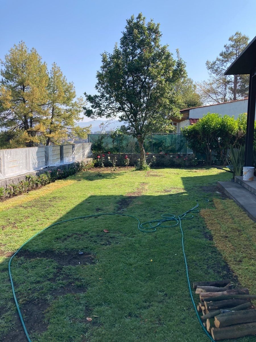 7 de 12: Jardín trasero 