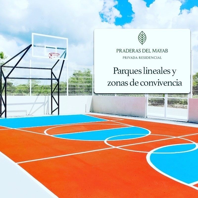 2 de 13