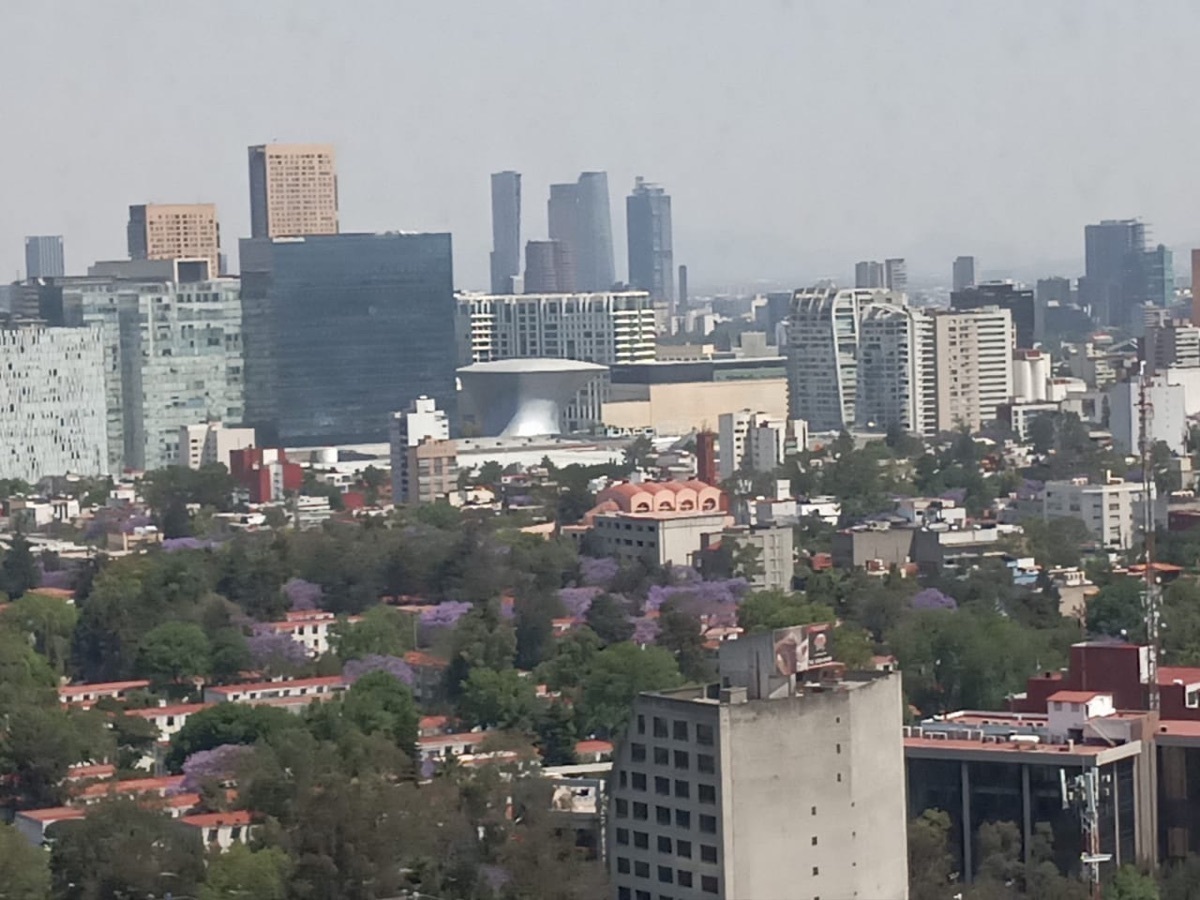 4 de 19