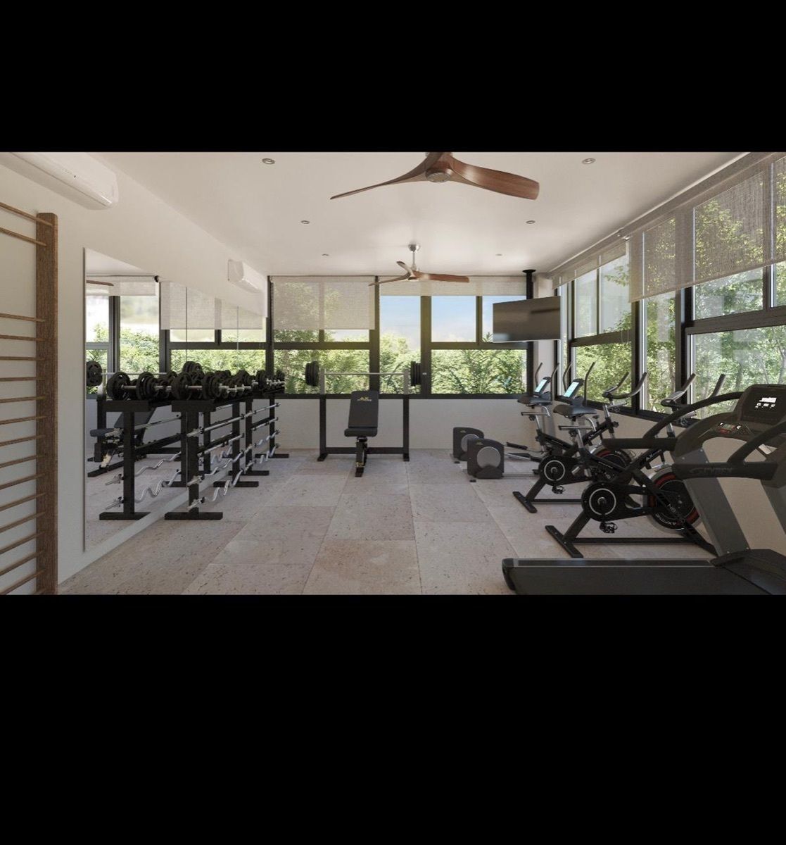 7 de 27: Gimnasio