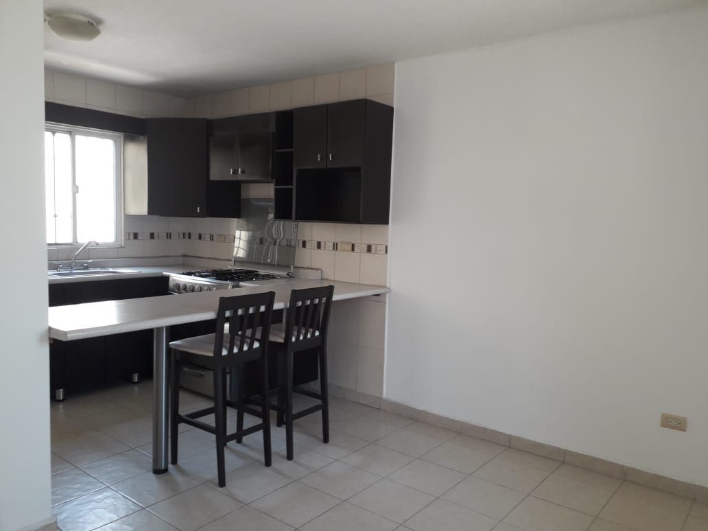5 de 20: COMEDOR Y BARRA 