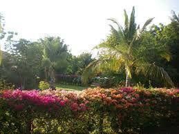 Imagen 4 de 10