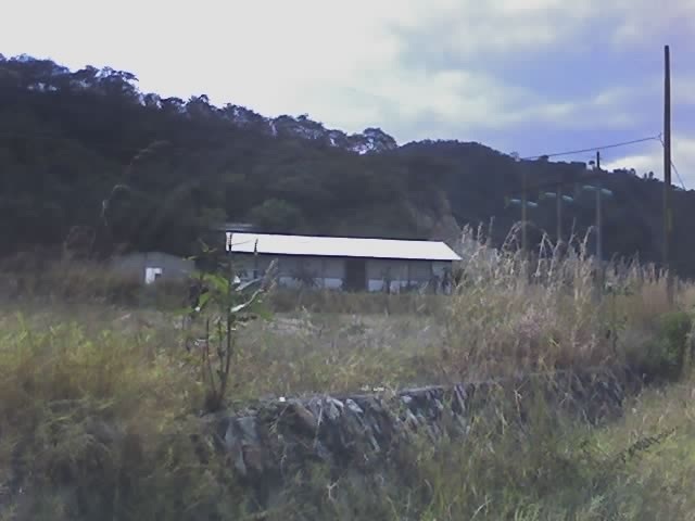2 de 8