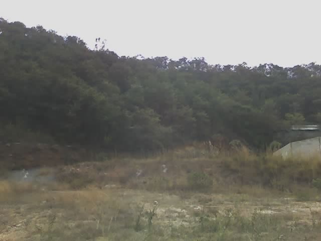 3 de 8