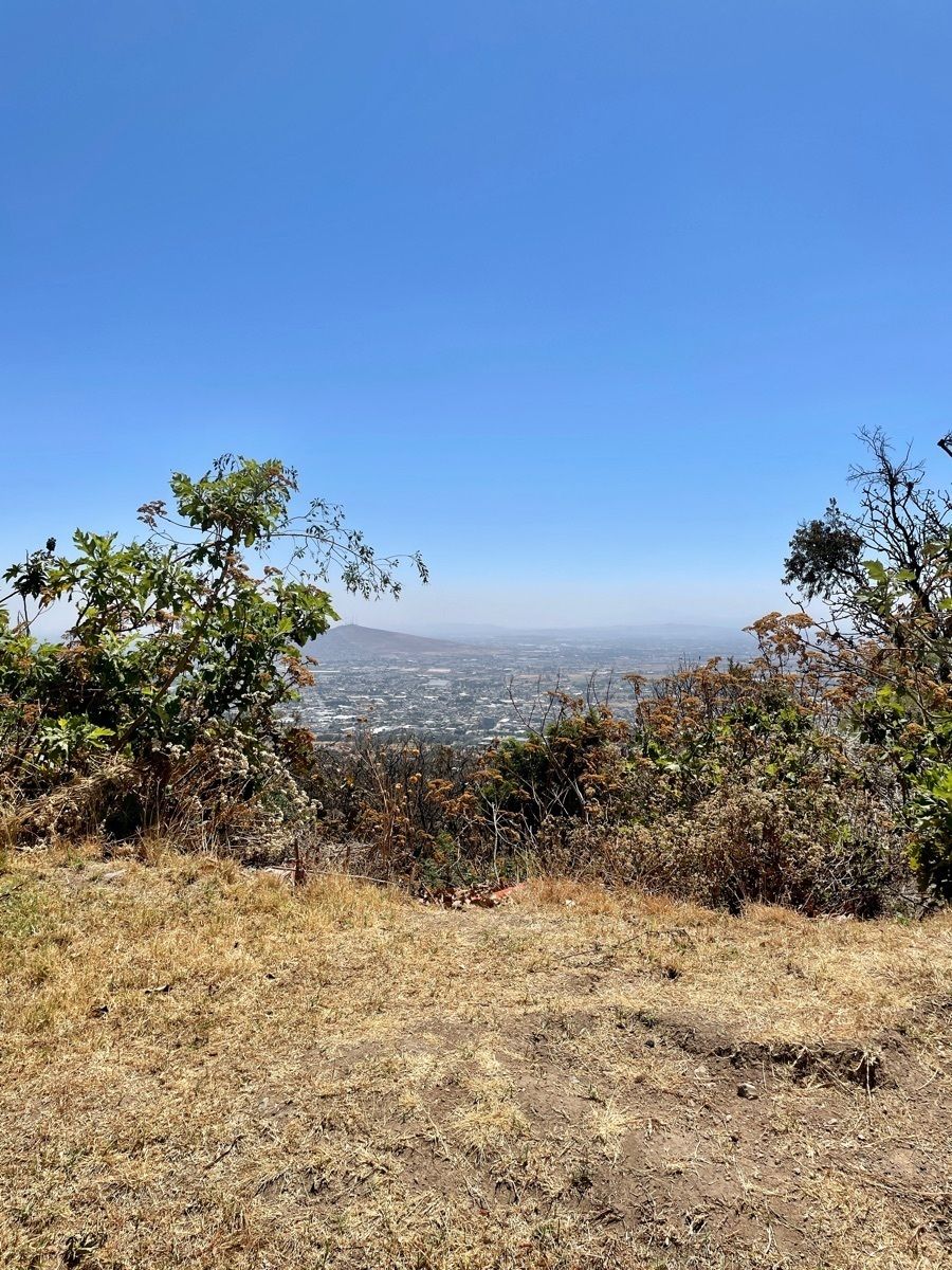 2 de 4