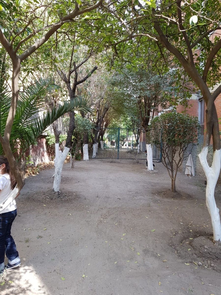 5 de 40
