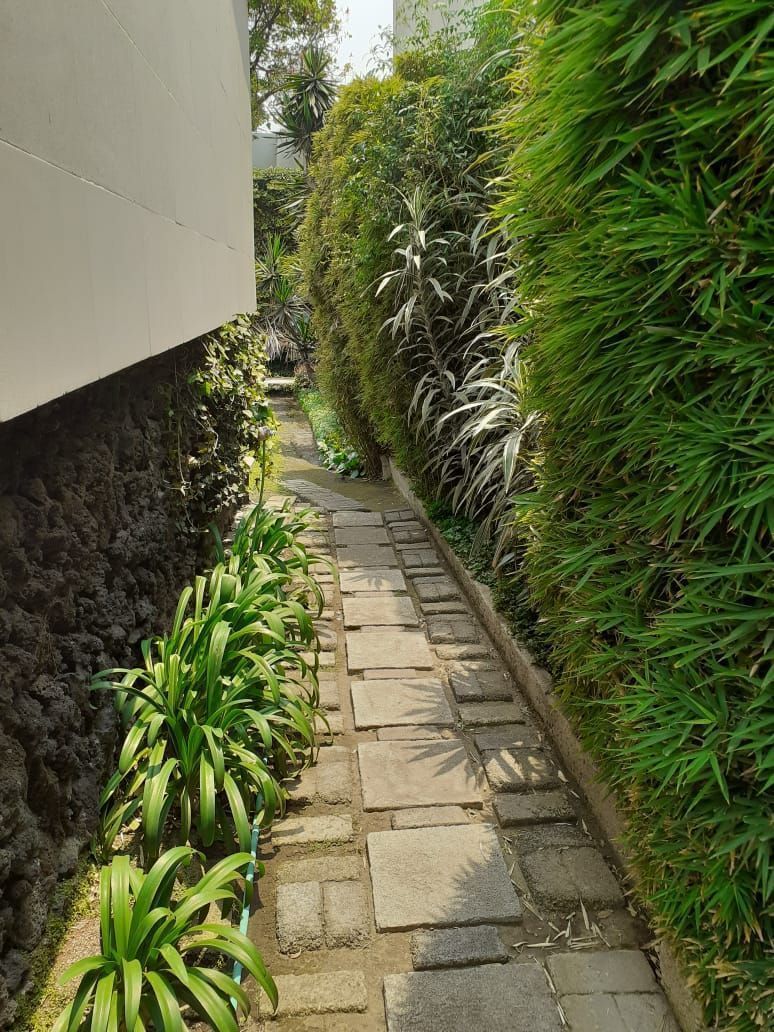 Casa en Santa Úrsula Xitla, Tlalpan, foto 12 de 50