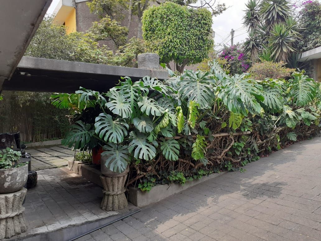 Casa en Santa Úrsula Xitla, Tlalpan, foto 41 de 50