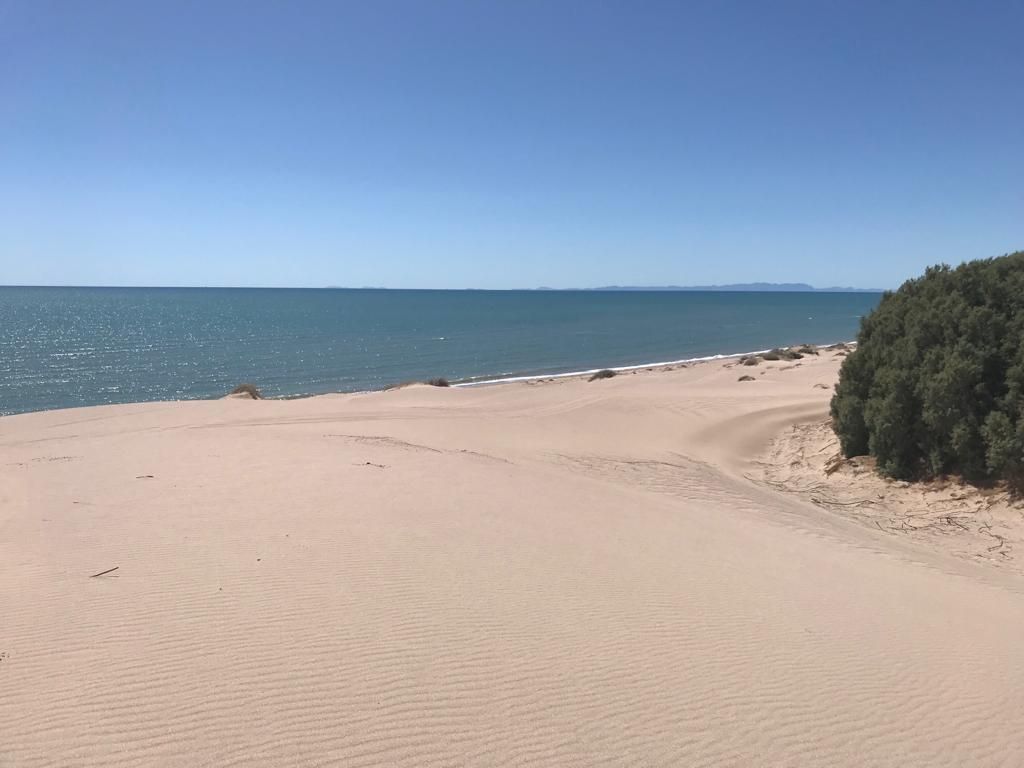 TERRENO EN VENTA EN SONORA - foto 1
