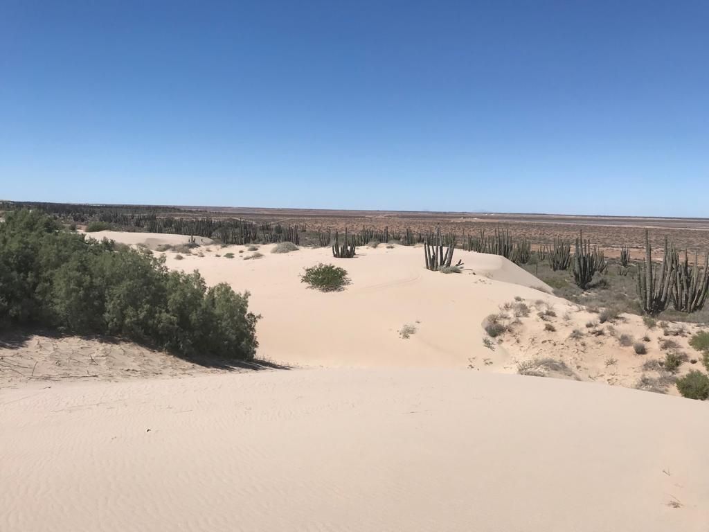 TERRENO EN VENTA EN SONORA - foto 2