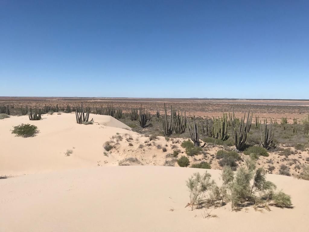 TERRENO EN VENTA EN SONORA - foto 4