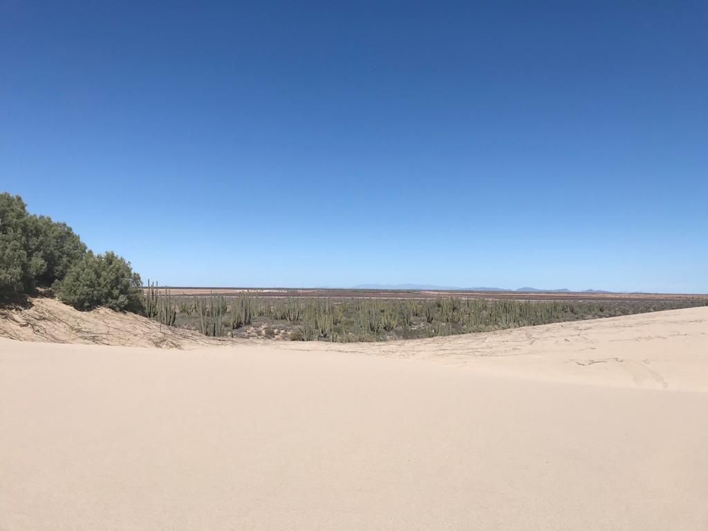 TERRENO EN VENTA EN SONORA - foto 5