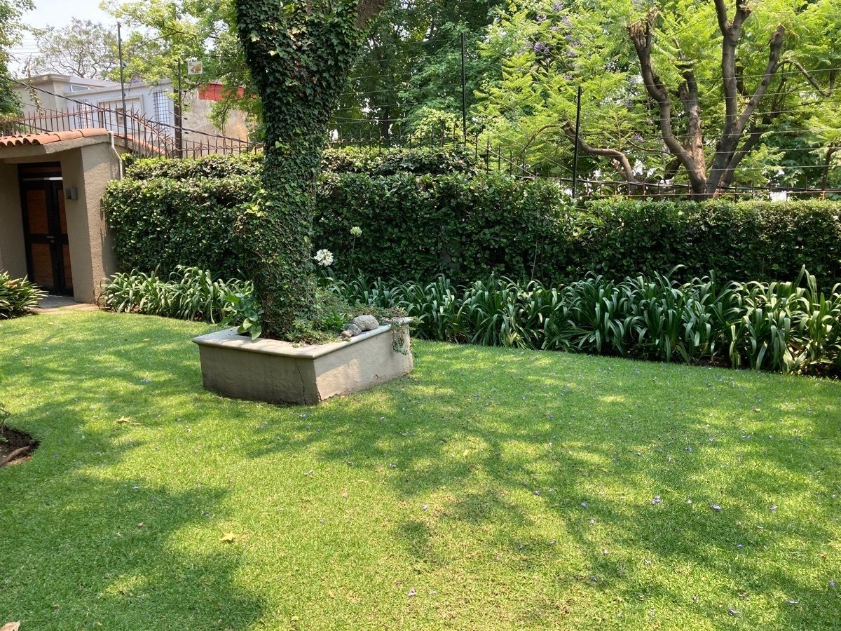 20 de 22: Jardín con sistema de riego 