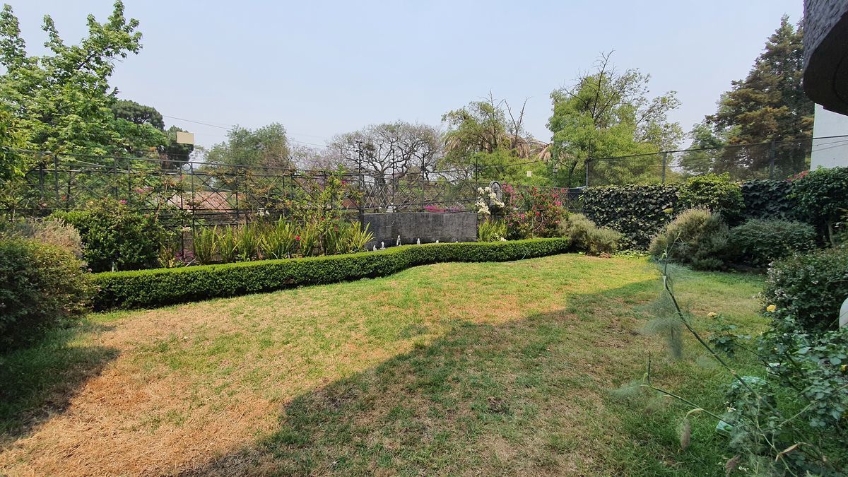 5 de 19: JARDIN--RENTA-LUJO-LUXURY-LOMAS-CHAPULTEPEC-LABORIN