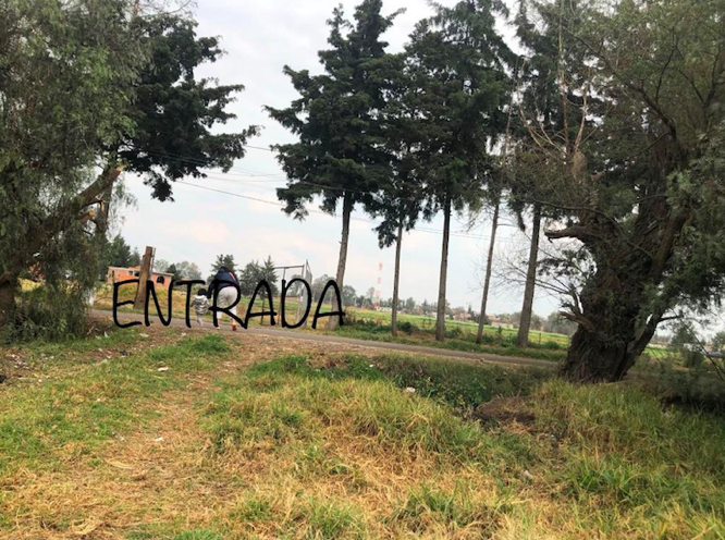 14 de 19