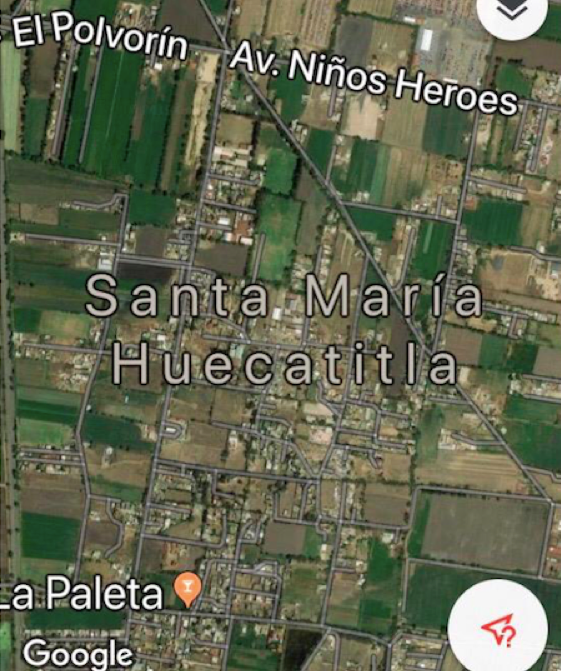 17 de 19