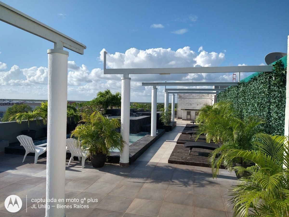 12 de 12: Roof Garden