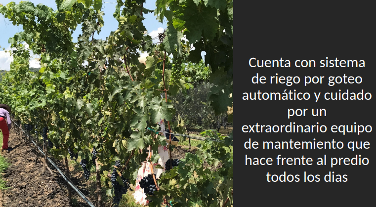 8 de 17