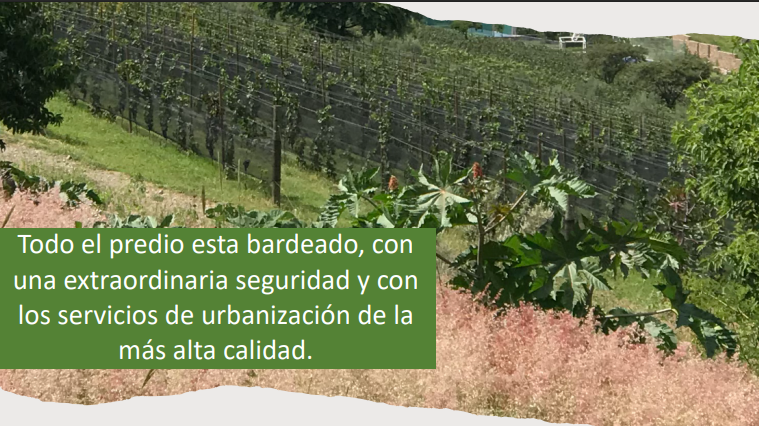 10 de 17