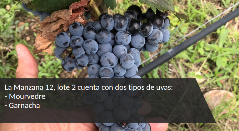 13 de 17