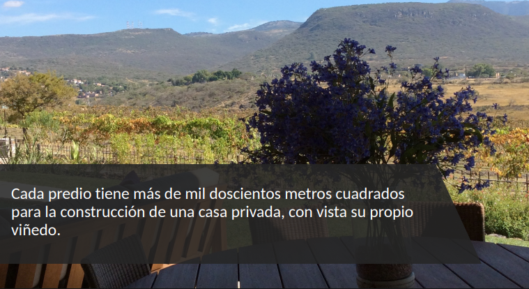 15 de 17